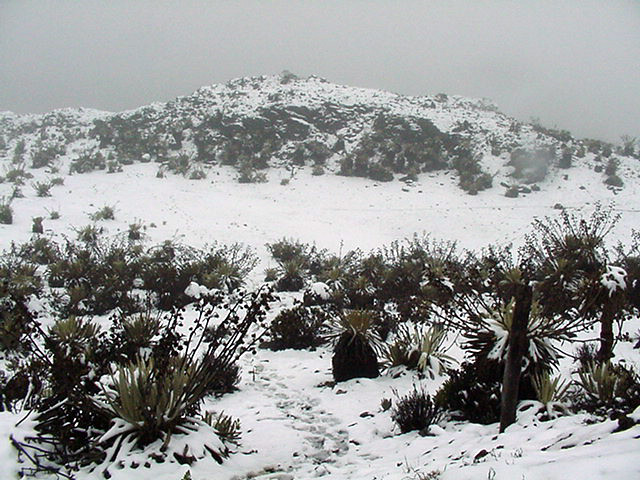 Mérida y el páramo andino